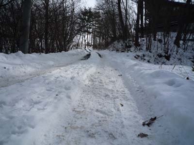 2012-02-05 003sd.jpg