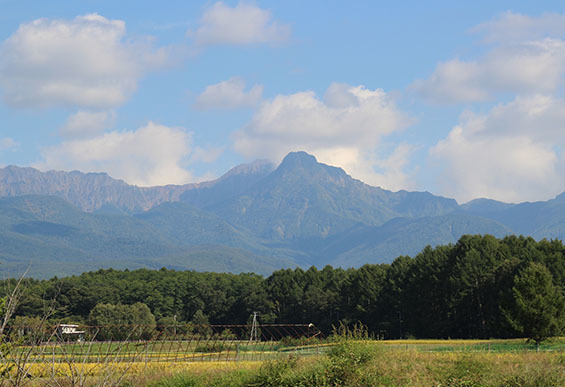 2015_09_22 (47)sd.jpg
