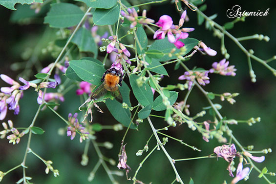 2016_07_17 (17)sd.jpg
