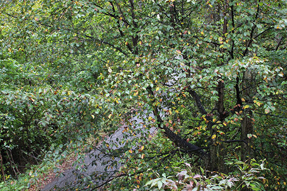 2016_10_09 (1)sd.jpg