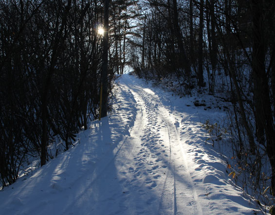 IMG_1368.jpg