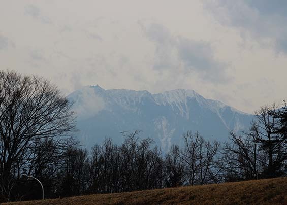 IMG_3695.jpg