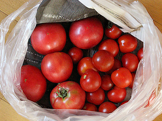 2015_08_09 (5)sd.jpg